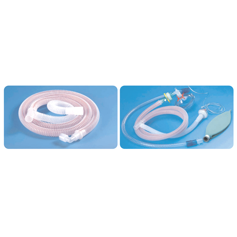 מעגל נשימה דו-איבר